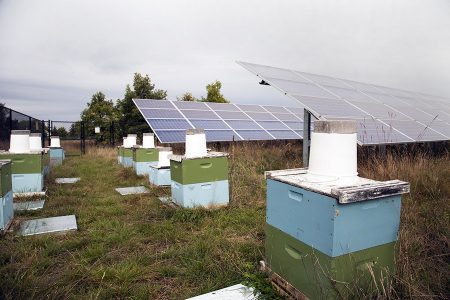 AGRIVOLTAIQUE