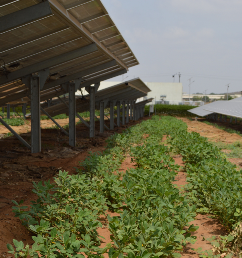 AGRIVOLTAIQUE