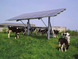 AGRIVOLTAIQUE