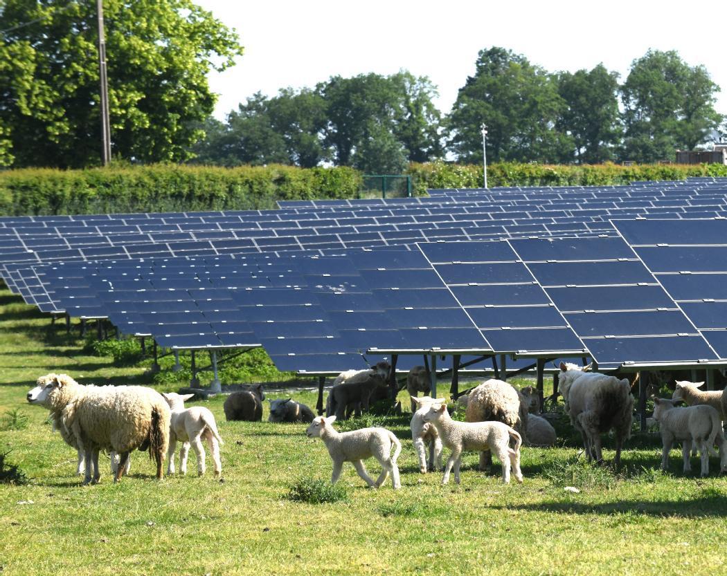 AGRIVOLTAIQUE