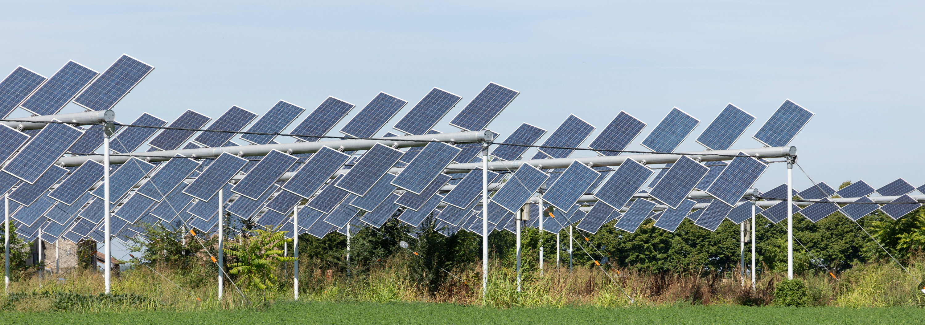 Agrivoltaïsme : rentabilité, financement et aides de la PAC