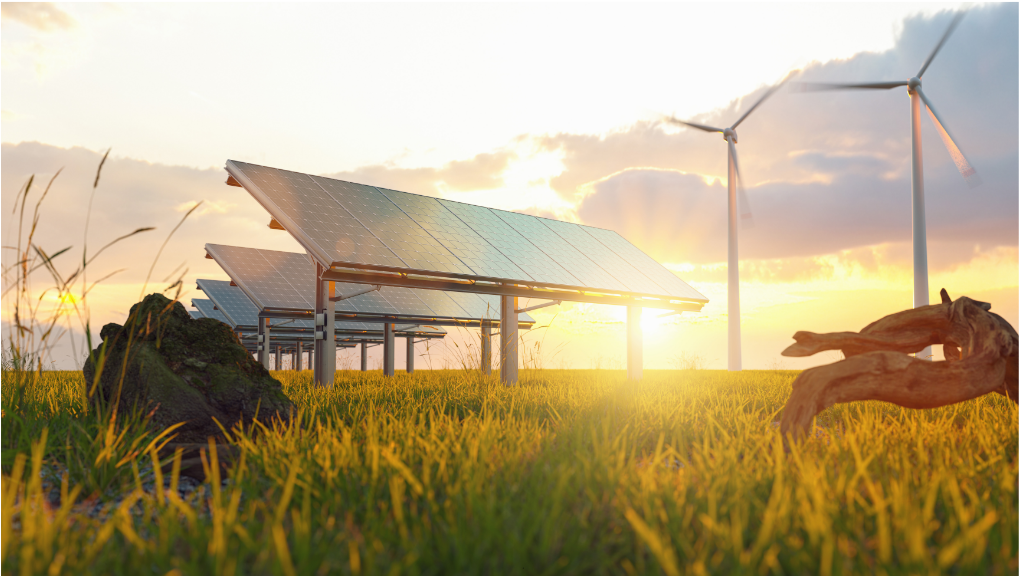 fournisseur d'électricité renouvelable